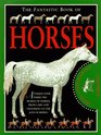 Fantastic Book Horses