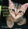 What Smart Cats Know
