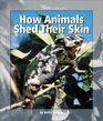 How Animals Shed Their Skin  Animals