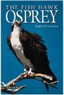The Fish Hawk Osprey