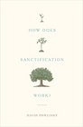 How Does Sanctification Work