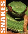 Snakes Photo Fact Collection