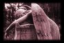 Death Devine Photographs of Cemetery Sculpture of Paris and Rome