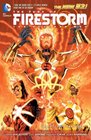 The Fury of Firestorm The Nuclear Men Vol 1 God Particle