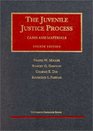 Juvenile Justice Process Cases and Materials