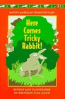 Here Comes Tricky Rabbit Native American Trickster Tales