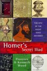 Homer's Secret Iliad The Epic of the Night Skies Decoded