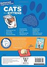 Battersea Dogs  Cats Home Pet Care Guides Battersea Dogs  Cats Home Caring for Cats and Kittens