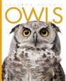 Amazing Animals Owls