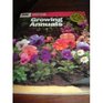 Growing Annuals