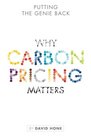 Putting the Genie Back Why Carbon Pricing Matters