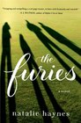 The Furies A Novel