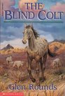 The Blind Colt (Blind Colt, Bk 1)