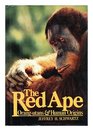 Red Ape Orangutans and Human Origins