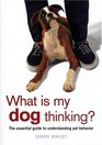 What Is My Dog Thinking? The Essential Guide to Understanding Pet Behavior