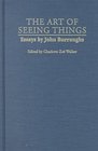 The Art of Seeing Things Essays