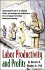 Labor Productivity  Profits
