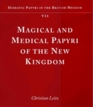 Magical and Medical Papyri of the New Kingdom