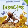 Insectos/ Minibeasts