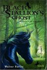 The Black Stallion's Ghost (Black Stallion, Bk 17)