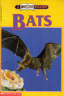 Bats