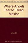 WHERE ANGELS FEAR TO TREAD MEXICO