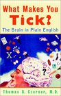 What Makes You Tick The Brain in Plain English