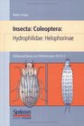 Swasserfauna von Mitteleuropa Bd 20/102 Insecta Coleoptera Hydrophilidae Helophorinae
