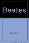 Beetles  Naturebooks Series