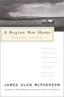 A Region Not Home Reflections From Exile