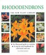 Rhododendrons The New Plant Library