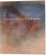 Genevieve Cadieux Musee d'art contemporain de Montreal du 31 mars au 30 mai 1993