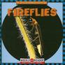 Fireflies Let's Read About Insects