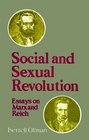 Social and Sexual Revolution Essays on Marx and Reich