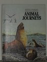 Exploring Animal Journeys