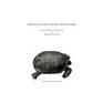Studies of the Desert Tortoise Gopherus Agassizii