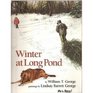 Winter at Long Pond