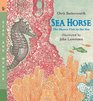 Sea Horse Read and Wonder The Shyest Fish in the Sea