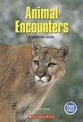 Animal Encounters A Chapter Book