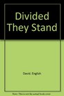 Divided they stand
