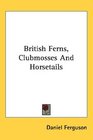 British Ferns Clubmosses And Horsetails