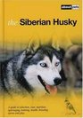 The Siberian Husky