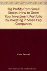 Big Profits from Small Stocks How to Grow Your Investment Portfolio by Investing in Small Cap Companies