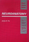 Neuroanatomy