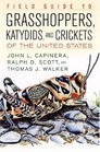 Field Guide To Grasshoppers Katydids And Crickets Of The United States