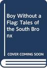 Boy Without a Flag Tales of the South Bronx