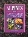 Alpines An Illustrated Dictionary