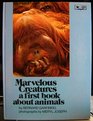 Marvelous Creatures A First Book About Animals