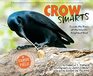 Crow Smarts Inside the Brain of the World's Brightest Bird