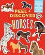 Peel  Discover Horses